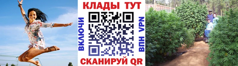 Купить наркоту Ленск СК  Каннабис  MEGA зеркало  Амфетамин  ГАШИШ  МЕФ  КОКАИН  Галлюциногенные грибы 