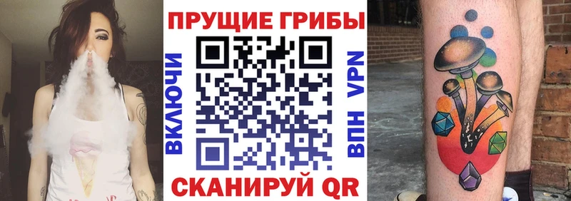 Псилоцибиновые грибы Cubensis  Ленск 